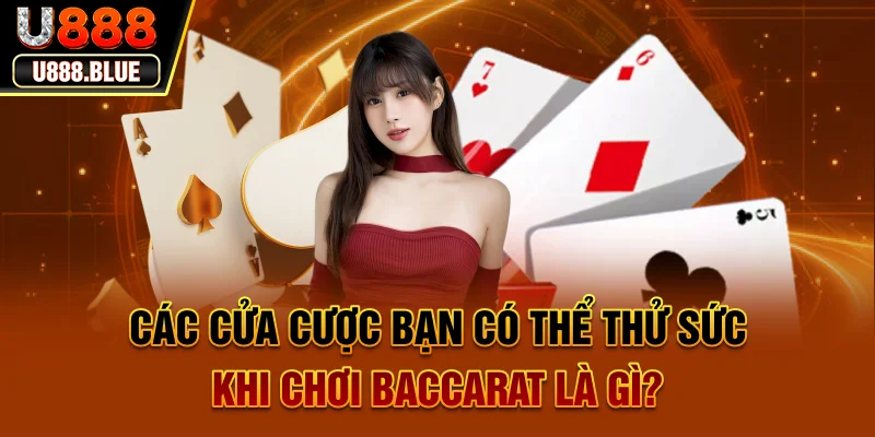 Các cửa cược bạn có thể thử sức khi chơi Baccarat là gì? Các cửa cược bạn có thể thử sức khi chơi Baccarat là gì?