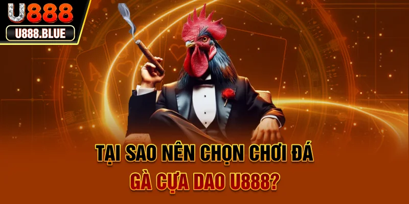 Tại sao nên chọn chơi đá gà cựa dao U888?