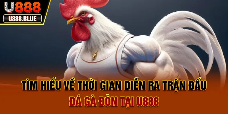 Đá gà đòn tại U888 - Trải nghiệm đặt cược vào các chiến kê dũng mãnh